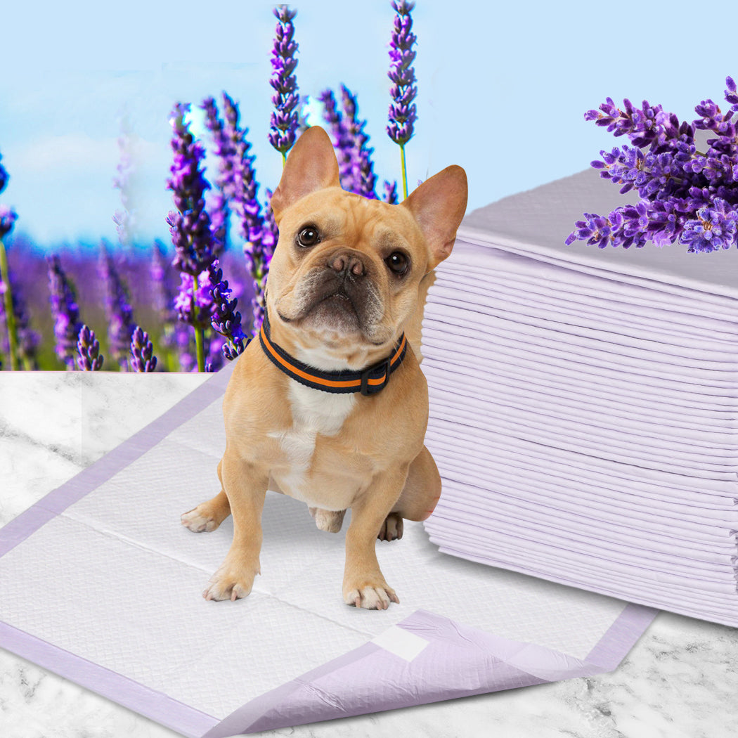 PaWz 200x Pet Dog Toilet Training Pad-1831592773522952198
