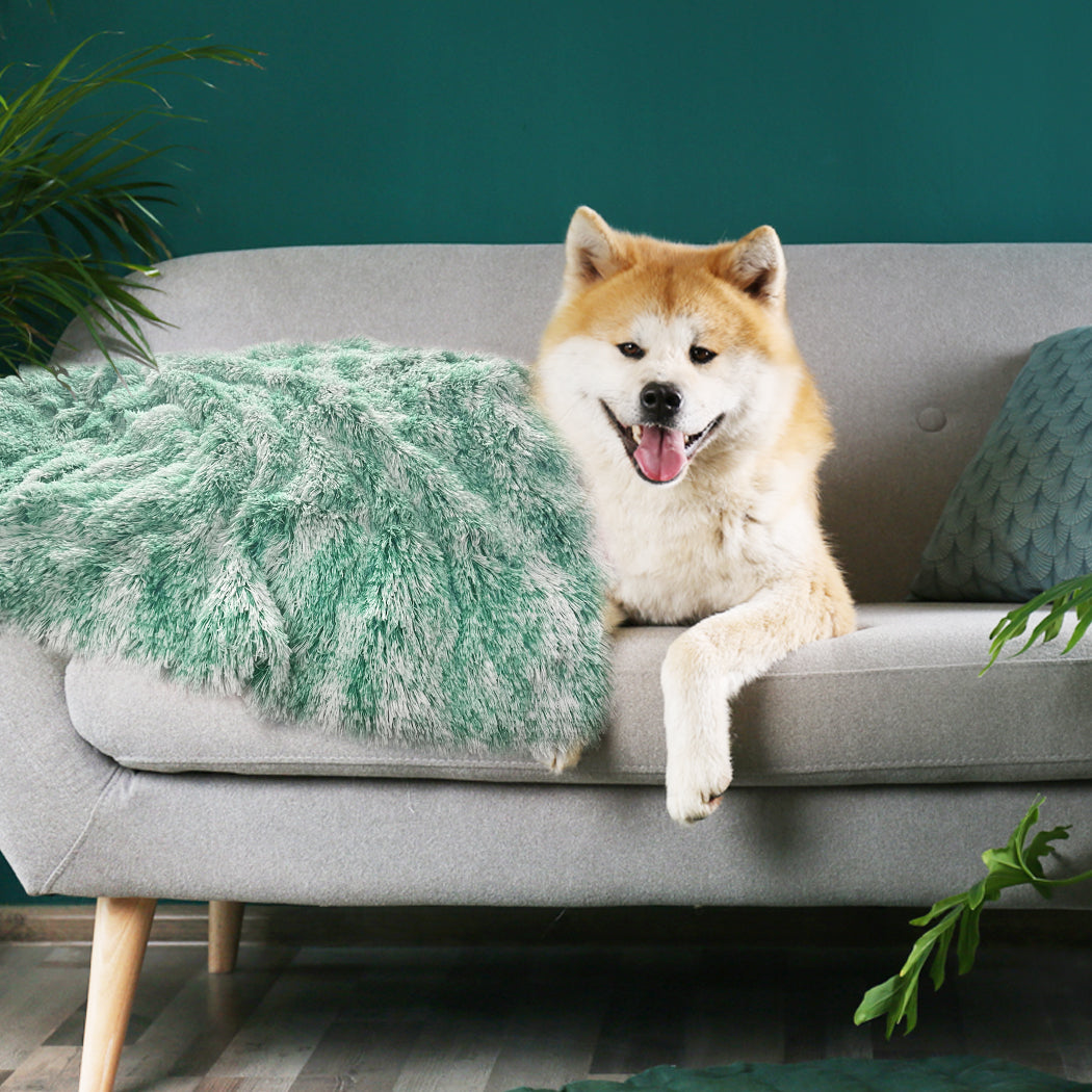 PaWz Dog Blanket Pet Cat Mat Puppy Warm Teal-1831593091262451718