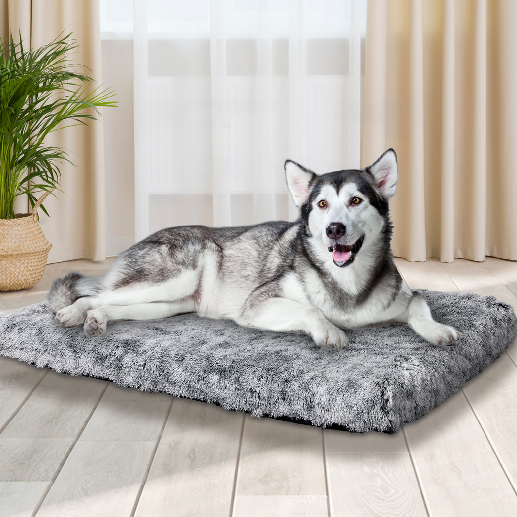 PaWz Dog Mat Pet Calming Bed Memory XL Charcoal X-Large-1831593133549424646