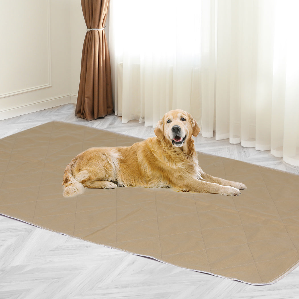 PaWz 2 Pcs 120x180 cm Reusable Waterproof KING-1836526720488968198