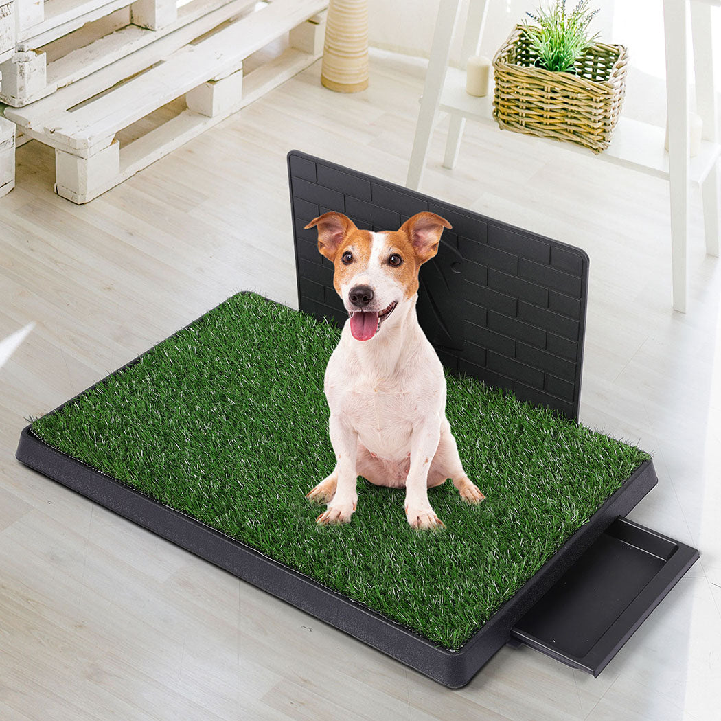 PaWz Indoor Dog Pet Grass Potty Training L-1836526651270369286
