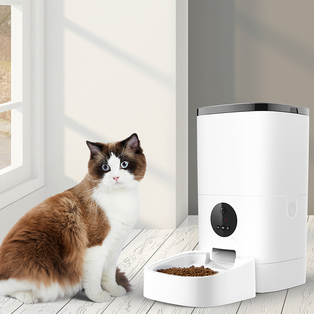 PaWz 6L Auto Feeder Pet Automatic Camera-1836526651714965510