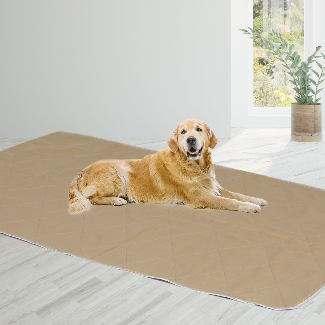 PaWz 2 Pcs 120x180 cm Reusable Waterproof KING-1836526720488968199