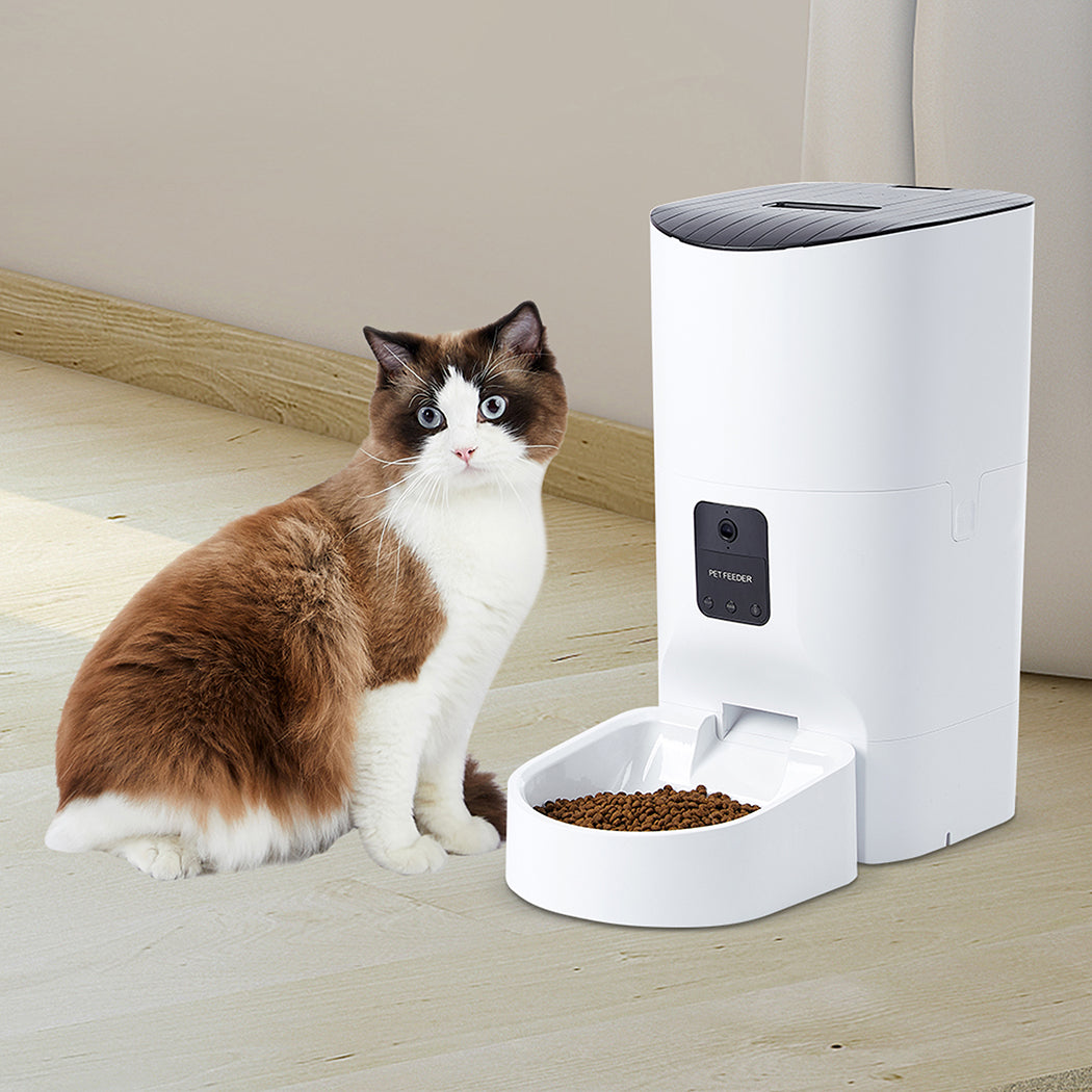 PaWz 6L Auto Feeder Pet Automatic Camera-1836526651714965511