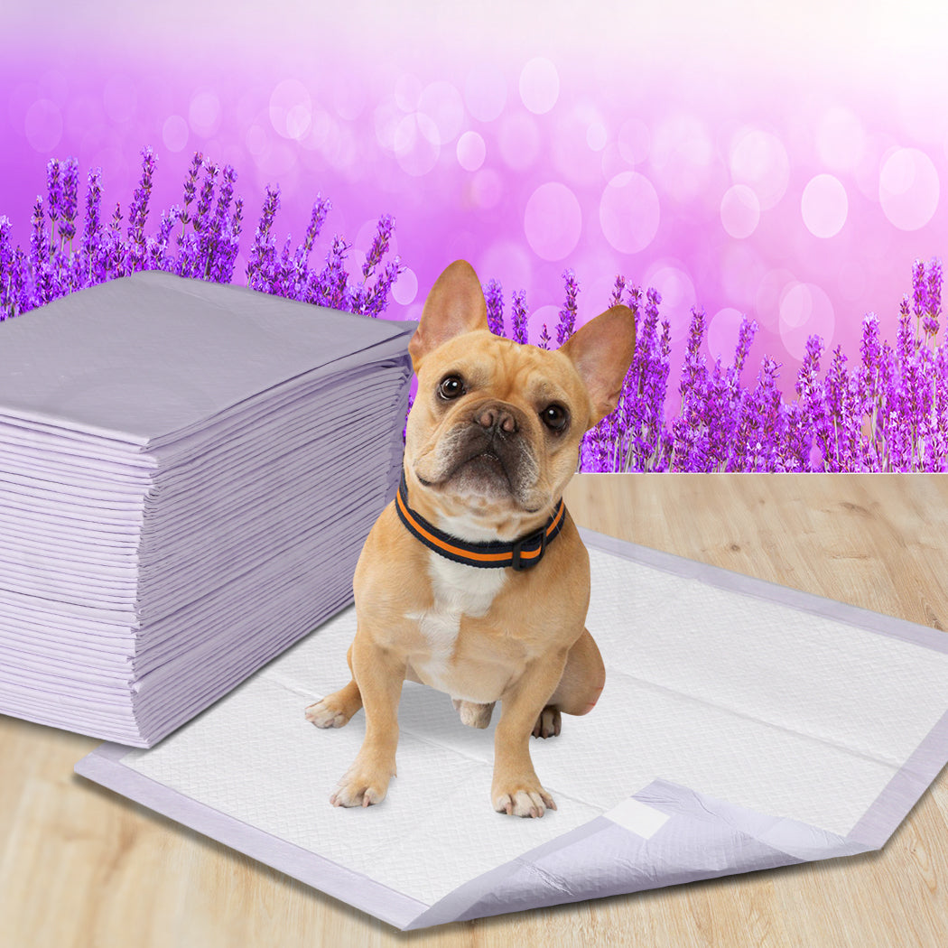 PaWz 200x Pet Dog Toilet Training Pad-1831592773522952199