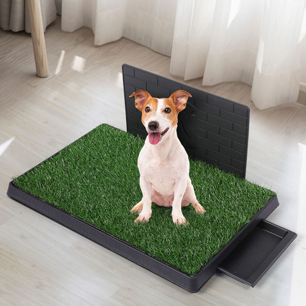 PaWz Indoor Dog Pet Grass Potty Training L-1836526651270369287