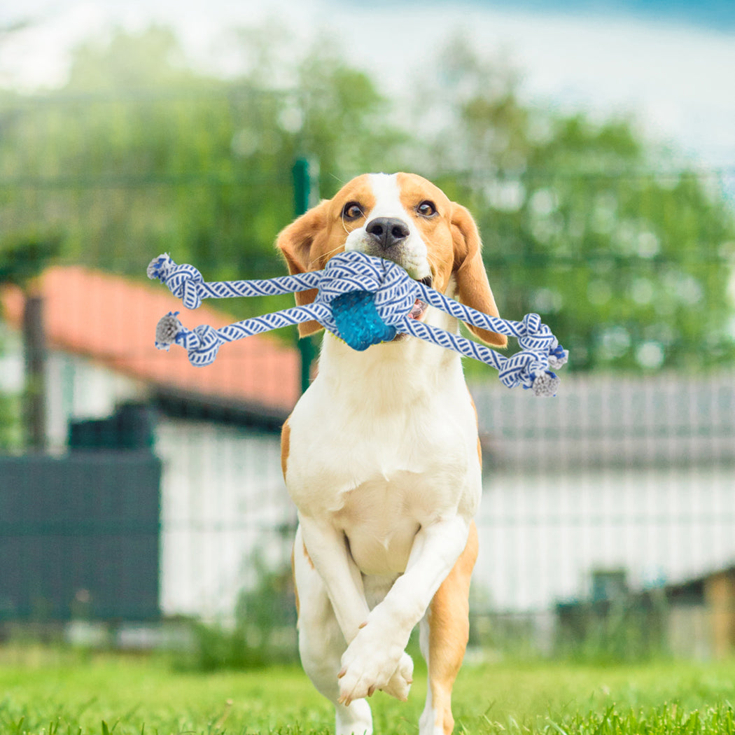 PaWz Dog Chew Toys Squeaky Puppy Pet-1831592894746726407