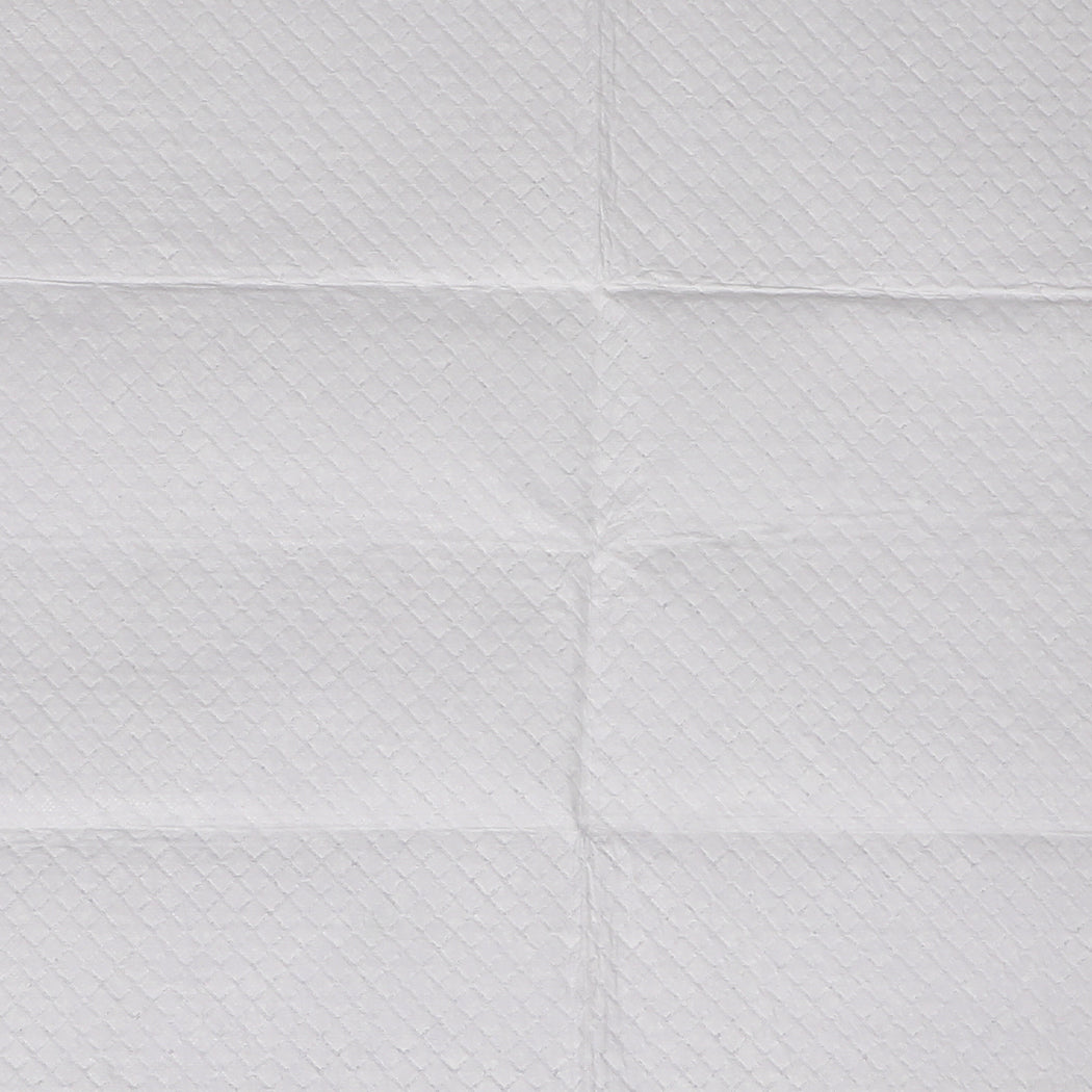 PaWz 100x Pet Dog Toilet Training Pad-1831593079782641669