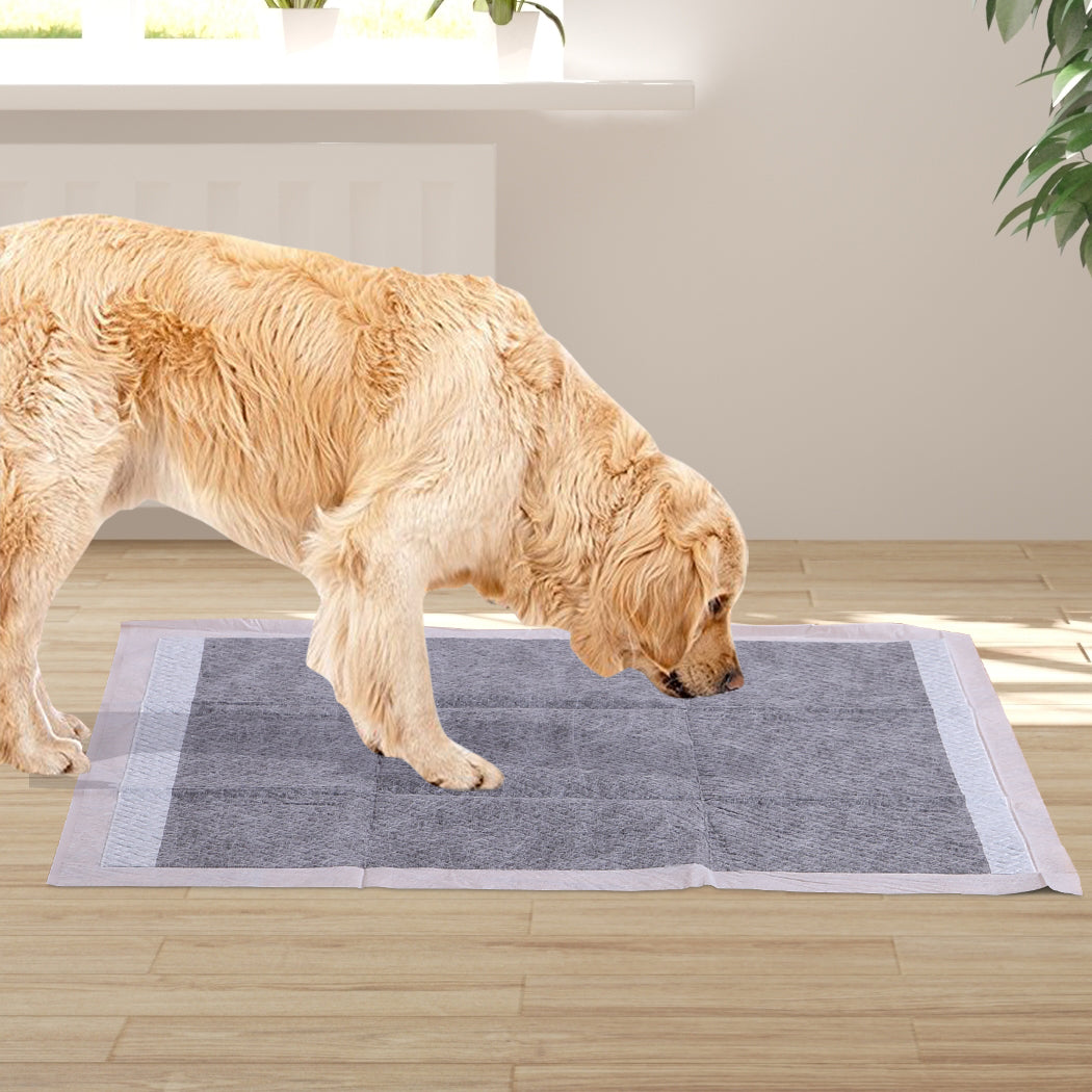 PaWz 400 Pcs 60x60cm Charcoal Pet Puppy-1831592596808536070